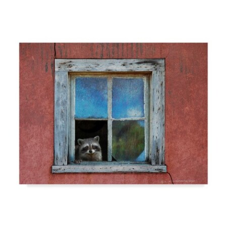 Chris Vest 'Raccoon Window' Canvas Art,24x32